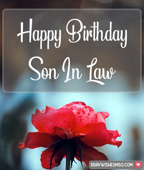 Happy Birthday to you Son-In-Law