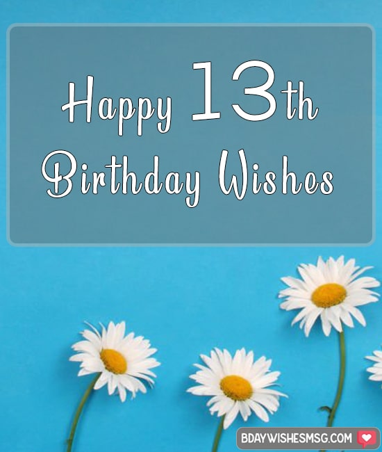Happy 13th Birthday wishes.